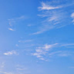 Meet your Posher, Trinity